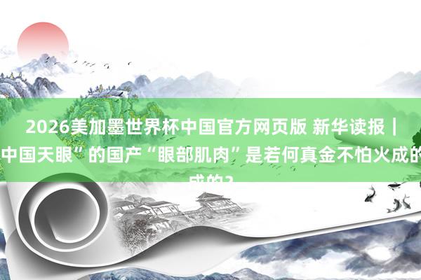 2026美加墨世界杯中国官方网页版 新华读报|“中国天眼”的国产“眼部肌肉”是若何真金不怕火成的?