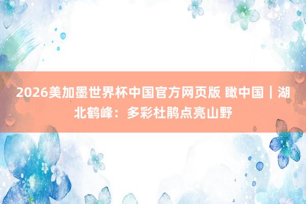2026美加墨世界杯中国官方网页版 瞰中国|湖北鹤峰:多彩杜鹃点亮山野