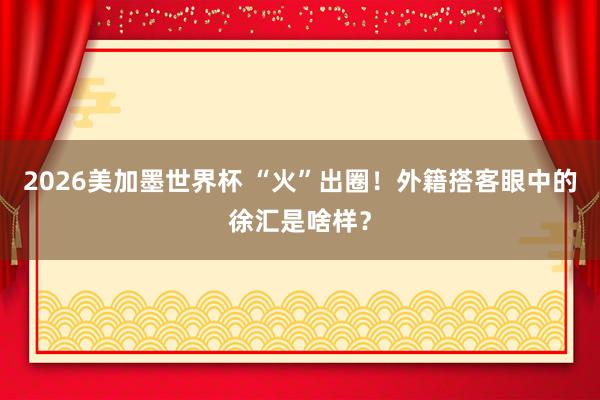 2026美加墨世界杯 “火”出圈!外籍搭客眼中的徐汇是啥样?