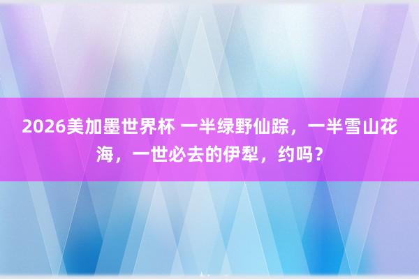 2026美加墨世界杯 一半绿野仙踪,一半雪山花海,一世必去的伊犁,约吗?