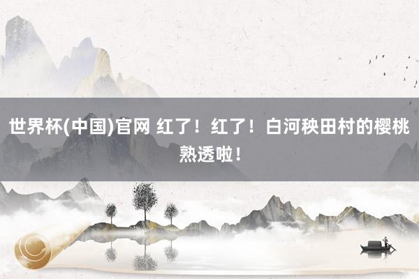 世界杯(中国)官网 红了!红了!白河秧田村的樱桃熟透啦!