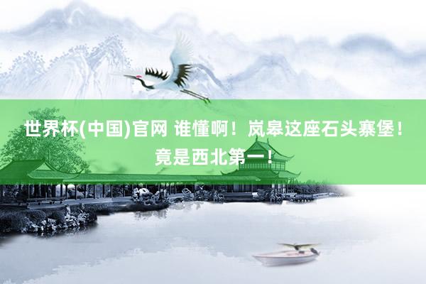 世界杯(中国)官网 谁懂啊!岚皋这座石头寨堡!竟是西北第一!