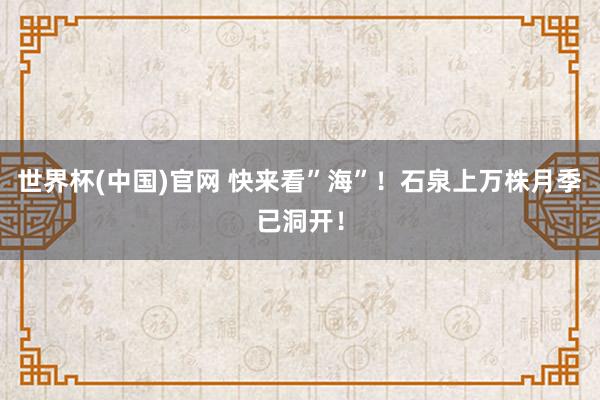 世界杯(中国)官网 快来看”海”!石泉上万株月季已洞开!