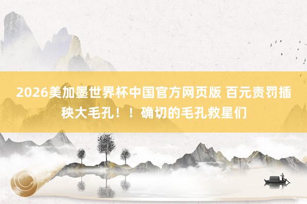 2026美加墨世界杯中国官方网页版 百元责罚插秧大毛孔!!确切的毛孔救星们