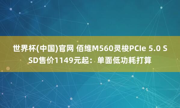 世界杯(中国)官网 佰维M560灵梭PCIe 5.0 SSD售价1149元起:单面低功耗打算