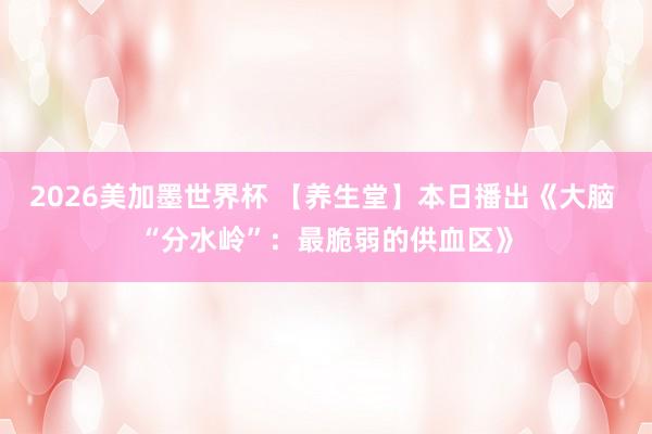 2026美加墨世界杯 【养生堂】本日播出《大脑 “分水岭”:最脆弱的供血区》