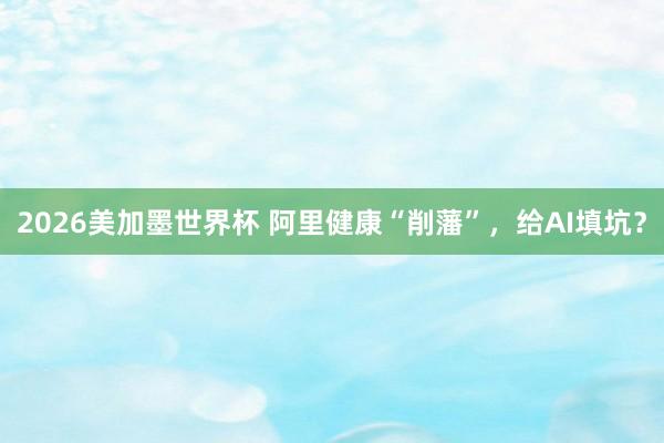2026美加墨世界杯 阿里健康“削藩”,给AI填坑?