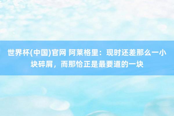 世界杯(中国)官网 阿莱格里:现时还差那么一小块碎屑,而那恰正是最要道的一块