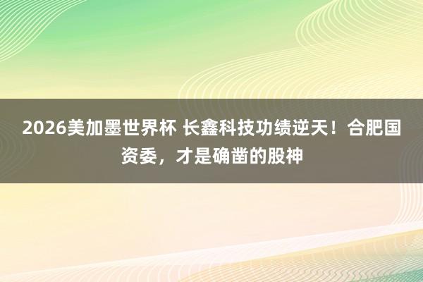 2026美加墨世界杯 长鑫科技功绩逆天!合肥国资委,才是确凿的股神