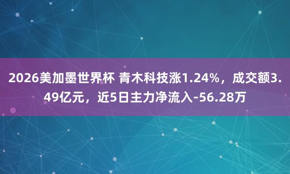 2026美加墨世界杯 青木科技涨1.24%,成交额3.49亿元,近5日主力净流入-56.28万