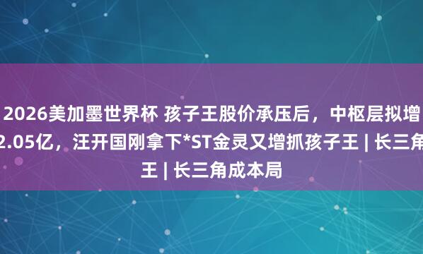 2026美加墨世界杯 孩子王股价承压后,中枢层拟增抓最高2.05亿,汪开国刚拿下*ST金灵又增抓孩子王 | 长三角成本局