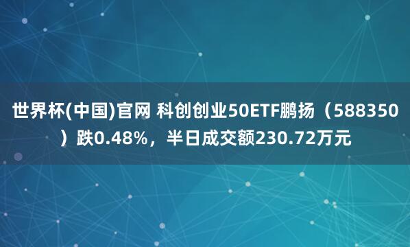 世界杯(中国)官网 科创创业50ETF鹏扬(588350)跌0.48%,半日成交额230.72万元