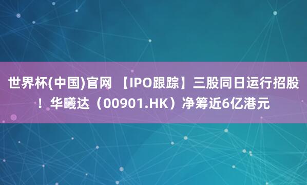 世界杯(中国)官网 【IPO跟踪】三股同日运行招股!华曦达(00901.HK)净筹近6亿港元