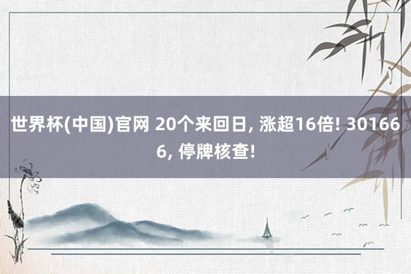 世界杯(中国)官网 20个来回日, 涨超16倍! 301666, 停牌核查!