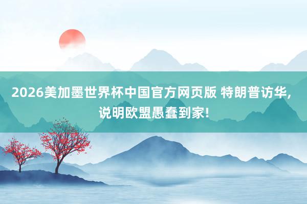2026美加墨世界杯中国官方网页版 特朗普访华, 说明欧盟愚蠢到家!