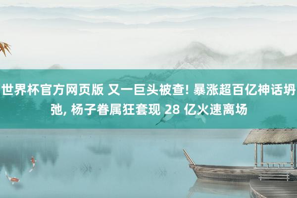 世界杯官方网页版 又一巨头被查! 暴涨超百亿神话坍弛, 杨子眷属狂套现 28 亿火速离场