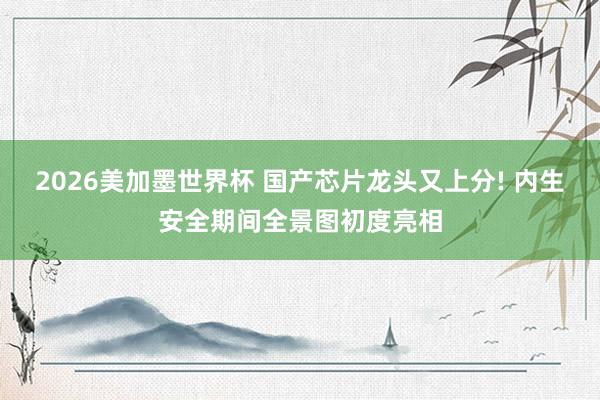 2026美加墨世界杯 国产芯片龙头又上分! 内生安全期间全景图初度亮相