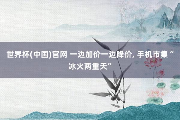 世界杯(中国)官网 一边加价一边降价, 手机市集“冰火两重天”