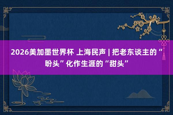 2026美加墨世界杯 上海民声 | 把老东谈主的“盼头”化作生涯的“甜头”