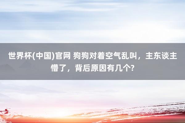 世界杯(中国)官网 狗狗对着空气乱叫,主东谈主懵了,背后原因有几个?