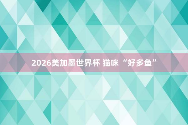 2026美加墨世界杯 猫咪 “好多鱼”