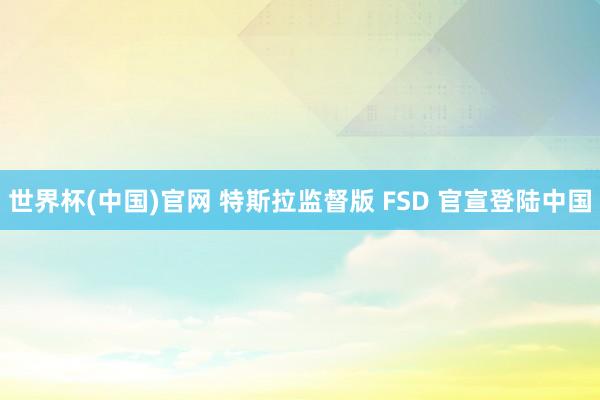 世界杯(中国)官网 特斯拉监督版 FSD 官宣登陆中国