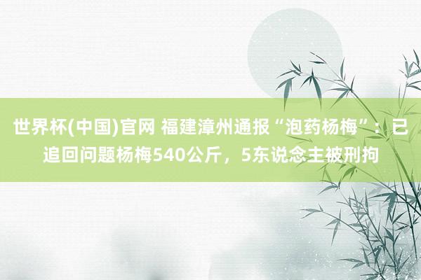 世界杯(中国)官网 福建漳州通报“泡药杨梅”:已追回问题杨梅540公斤,5东说念主被刑拘