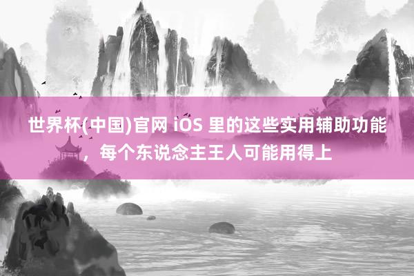 世界杯(中国)官网 iOS 里的这些实用辅助功能,每个东说念主王人可能用得上