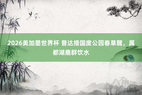 2026美加墨世界杯 普达措国度公园春草醒,属都湖鹿群饮水