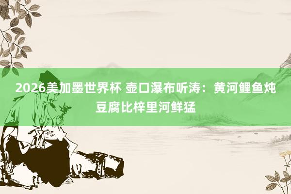 2026美加墨世界杯 壶口瀑布听涛:黄河鲤鱼炖豆腐比梓里河鲜猛