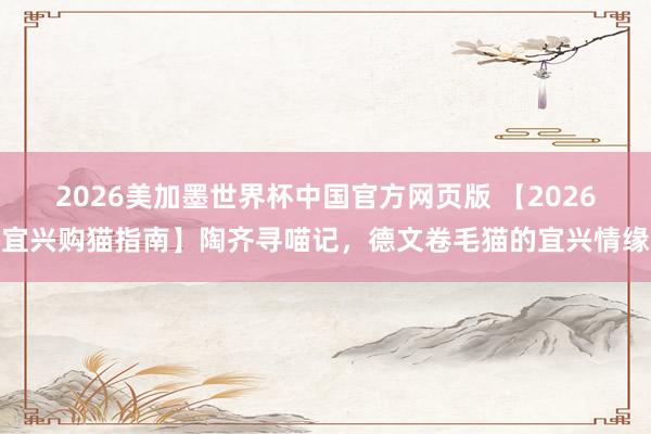 2026美加墨世界杯中国官方网页版 【2026宜兴购猫指南】陶齐寻喵记,德文卷毛猫的宜兴情缘