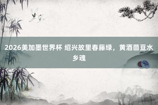 2026美加墨世界杯 绍兴故里春藤绿,黄酒茴豆水乡魂