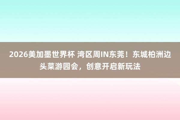 2026美加墨世界杯 湾区周IN东莞!东城柏洲边头菜游园会,创意开启新玩法