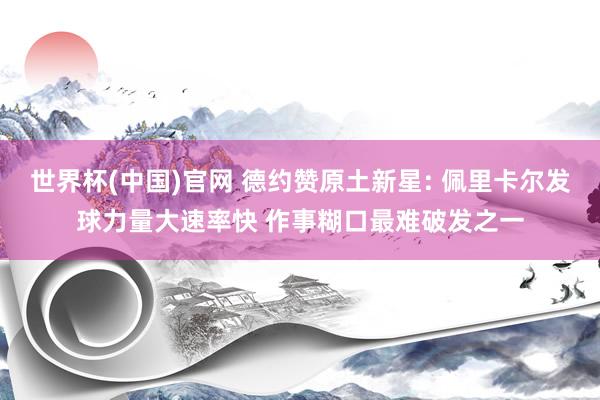 世界杯(中国)官网 德约赞原土新星: 佩里卡尔发球力量大速率快 作事糊口最难破发之一