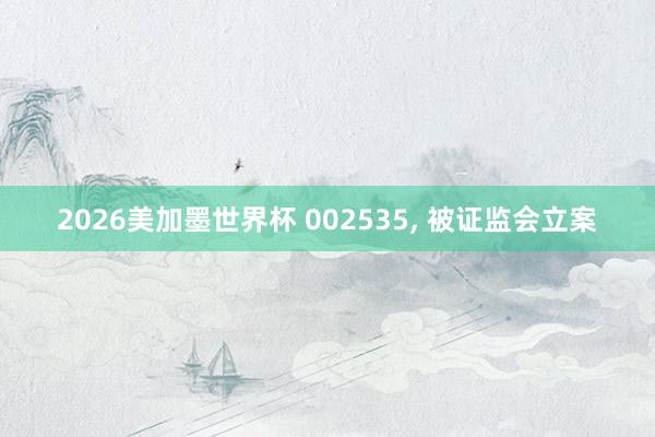 2026美加墨世界杯 002535, 被证监会立案