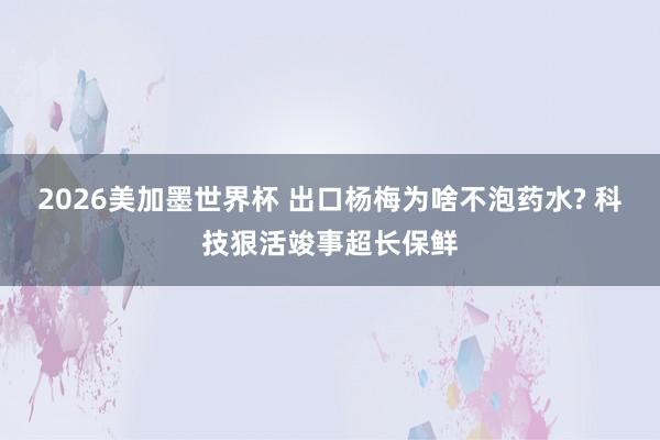 2026美加墨世界杯 出口杨梅为啥不泡药水? 科技狠活竣事超长保鲜