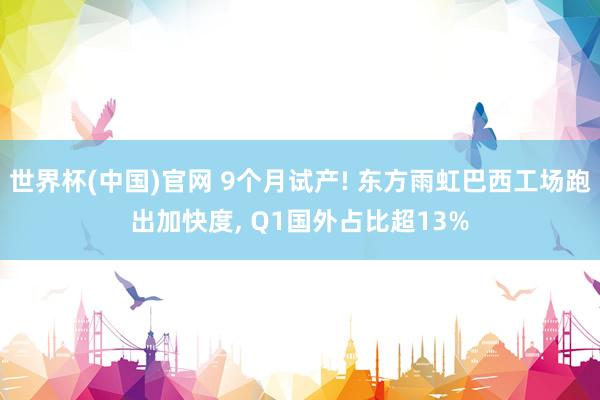 世界杯(中国)官网 9个月试产! 东方雨虹巴西工场跑出加快度, Q1国外占比超13%