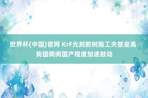 世界杯(中国)官网 KrF光刻胶树脂工夫壁垒高 我国阛阓国产程度加速鼓动