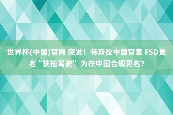 世界杯(中国)官网 突发!特斯拉中国官宣 FSD更名“扶植驾驶” 为在中国合规更名?