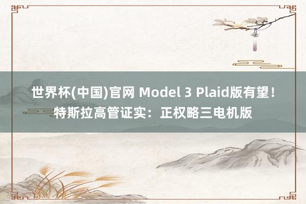 世界杯(中国)官网 Model 3 Plaid版有望!特斯拉高管证实:正权略三电机版