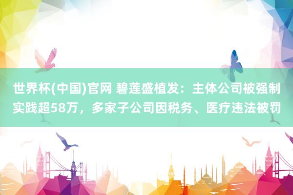 世界杯(中国)官网 碧莲盛植发:主体公司被强制实践超58万,多家子公司因税务、医疗违法被罚