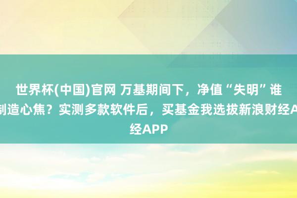 世界杯(中国)官网 万基期间下,净值“失明”谁在制造心焦?实测多款软件后,买基金我选拔新浪财经APP