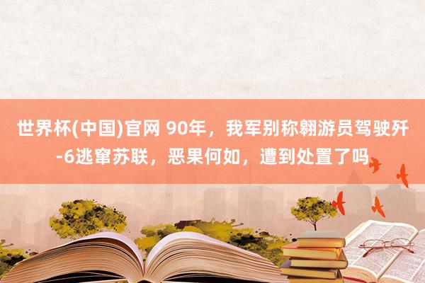 世界杯(中国)官网 90年,我军别称翱游员驾驶歼-6逃窜苏联,恶果何如,遭到处置了吗