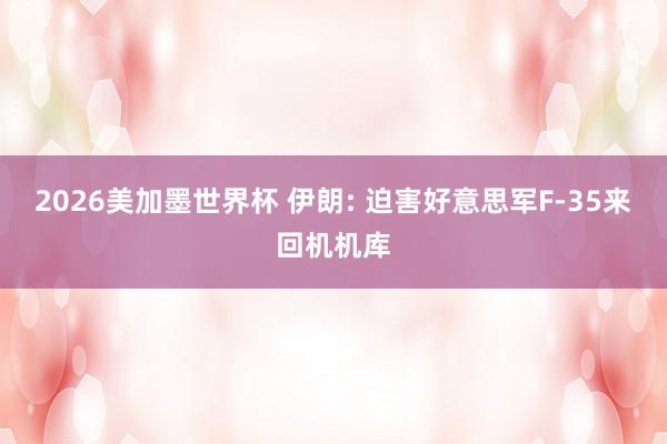 2026美加墨世界杯 伊朗: 迫害好意思军F-35来回机机库