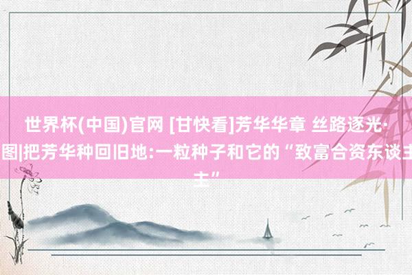 世界杯(中国)官网 [甘快看]芳华华章 丝路逐光·长图|把芳华种回旧地:一粒种子和它的“致富合资东谈主”