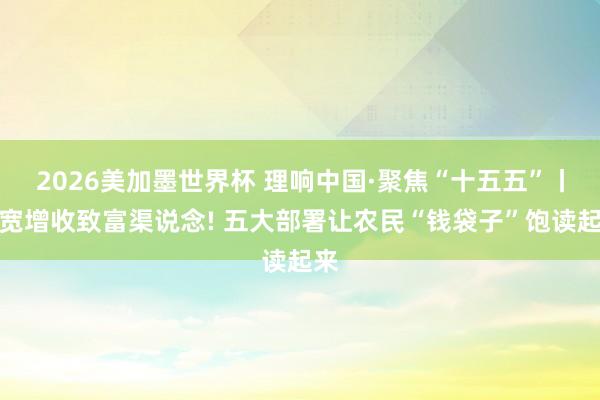 2026美加墨世界杯 理响中国·聚焦“十五五”丨拓宽增收致富渠说念! 五大部署让农民“钱袋子”饱读起来