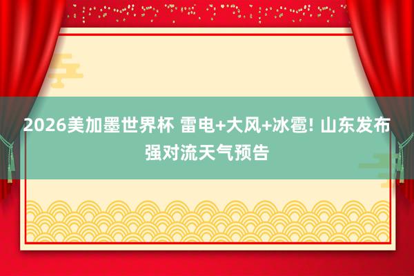 2026美加墨世界杯 雷电+大风+冰雹! 山东发布强对流天气预告