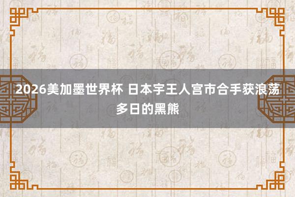 2026美加墨世界杯 日本宇王人宫市合手获浪荡多日的黑熊