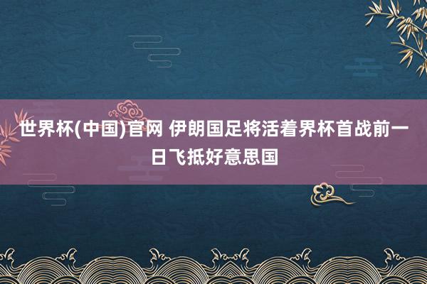 世界杯(中国)官网 伊朗国足将活着界杯首战前一日飞抵好意思国