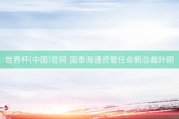 世界杯(中国)官网 国泰海通资管任命新总裁叶明